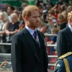 Prince Harry News