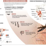 Chikungunya Cases Rise Fast Amid China Outbreak