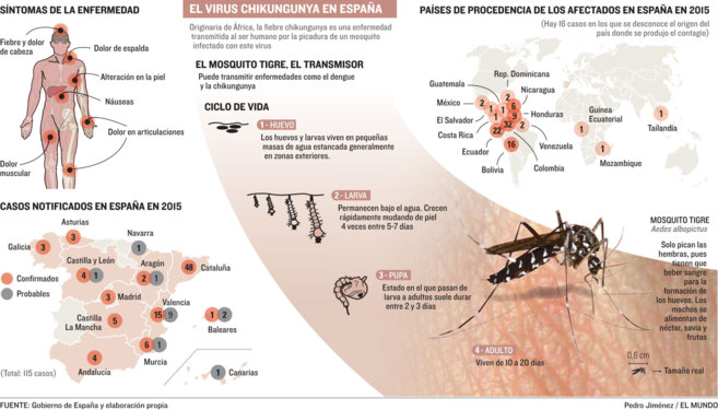 Chikungunya Cases Rise Fast Amid China Outbreak